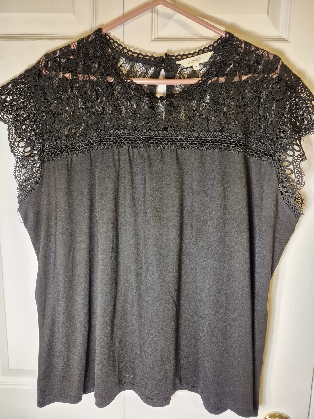 Amaryllis Black Lace Yoke Short Sleeve Top